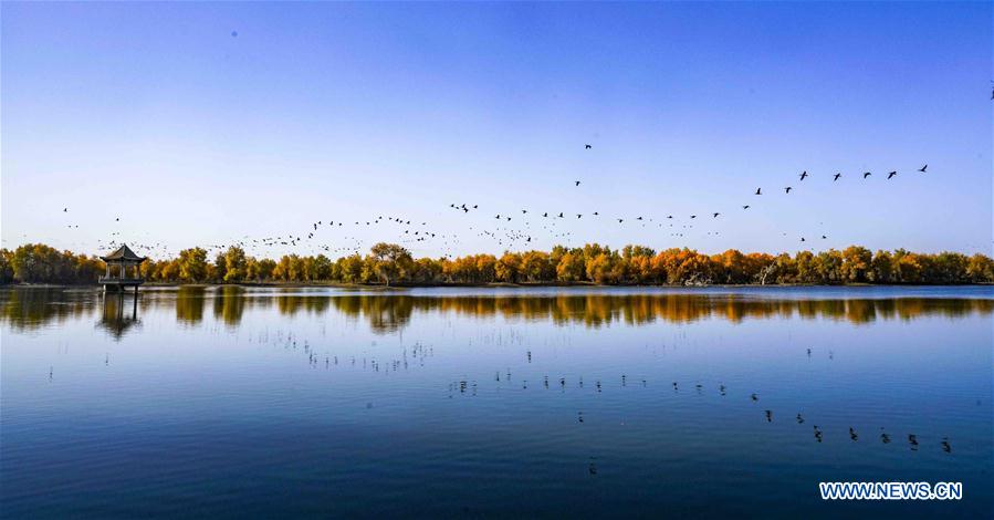 (年終報道)(4)2018年看大美中國