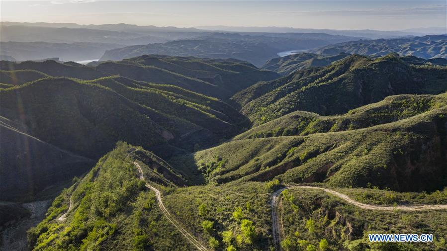 CHINA-SHAANXI-YAN'AN-GRAIN FOR GREEN (CN)