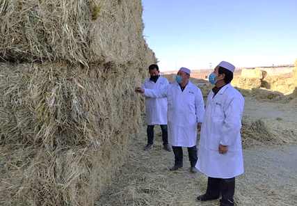 五大保障穩(wěn)定經(jīng)營(yíng) 奶業(yè)人攜手戰(zhàn)&ldquo;疫&rdquo;