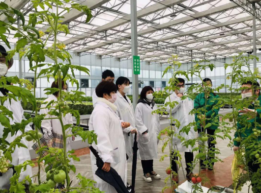 中信銀行：&ldquo;有溫度的&rdquo;綜合金融服務(wù) 助力農(nóng)資企業(yè)復(fù)產(chǎn)復(fù)工