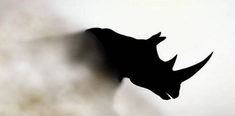 緊盯銀行業(yè)&ldquo;灰犀牛&rdquo; 穿透式監(jiān)管料出重拳