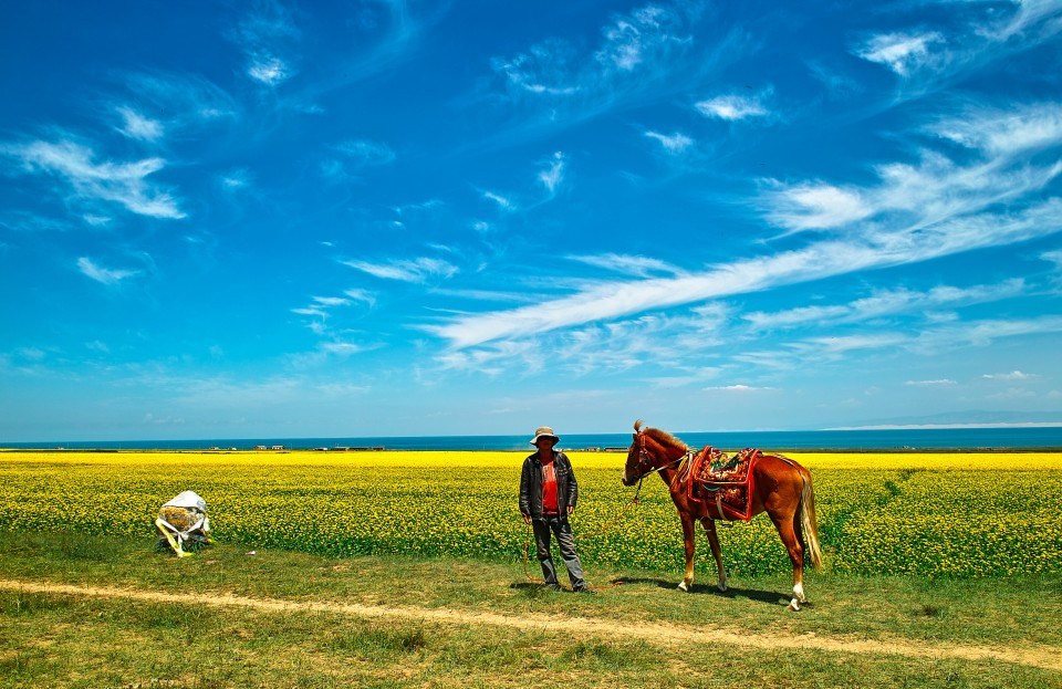 青海推行草原生態(tài)保護(hù)補(bǔ)獎?wù)? /></a></p>
<p class=