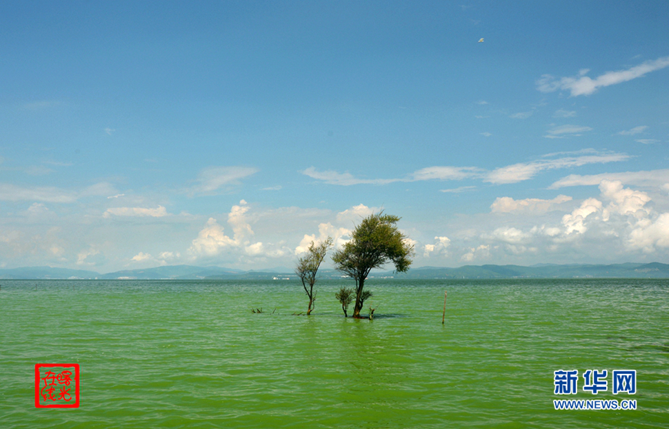 陽光昆明，爽爽的春城