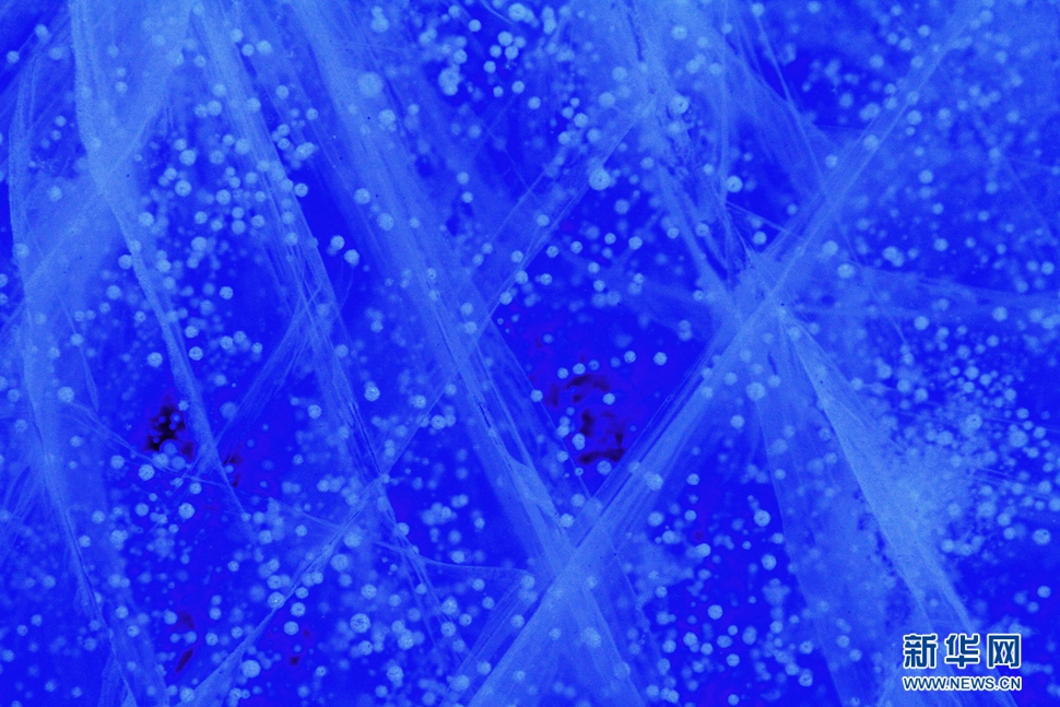 氣泡冰亮晶晶，藍精靈賽繁星