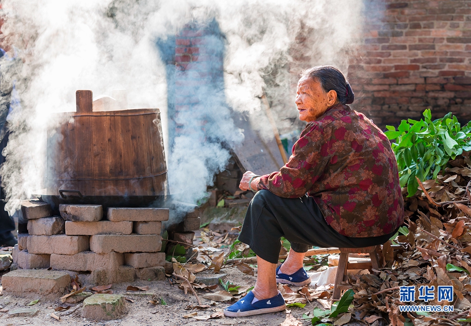 勤勞的牛過蓢古村女人