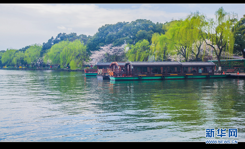 聽風西湖柳，聞香龍井茶