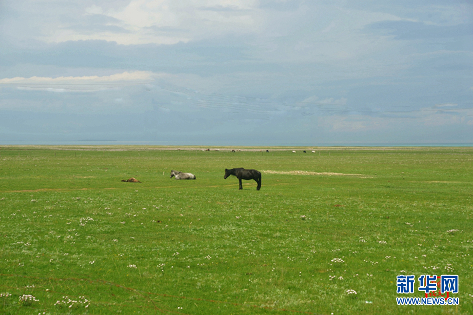 高原放歌之那山、那寺、那朵云