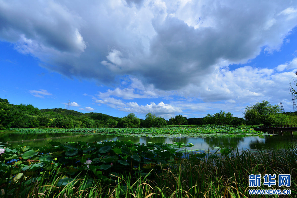 秋高氣爽，行攝八掛田