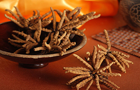 中藥材首獲國(guó)際&ldquo;身份證&rdquo;