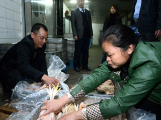 江西宰殺、冷凍積壓禽肉 緩解H7N9禽流感影響