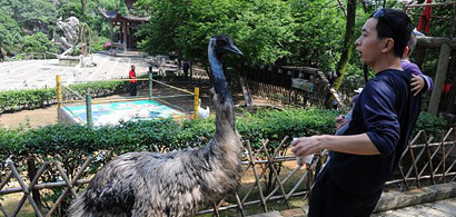 長(zhǎng)沙鳥(niǎo)語(yǔ)林群鳥(niǎo)體檢合格 百鳥(niǎo)與市民&ldquo;共歡&rdquo;