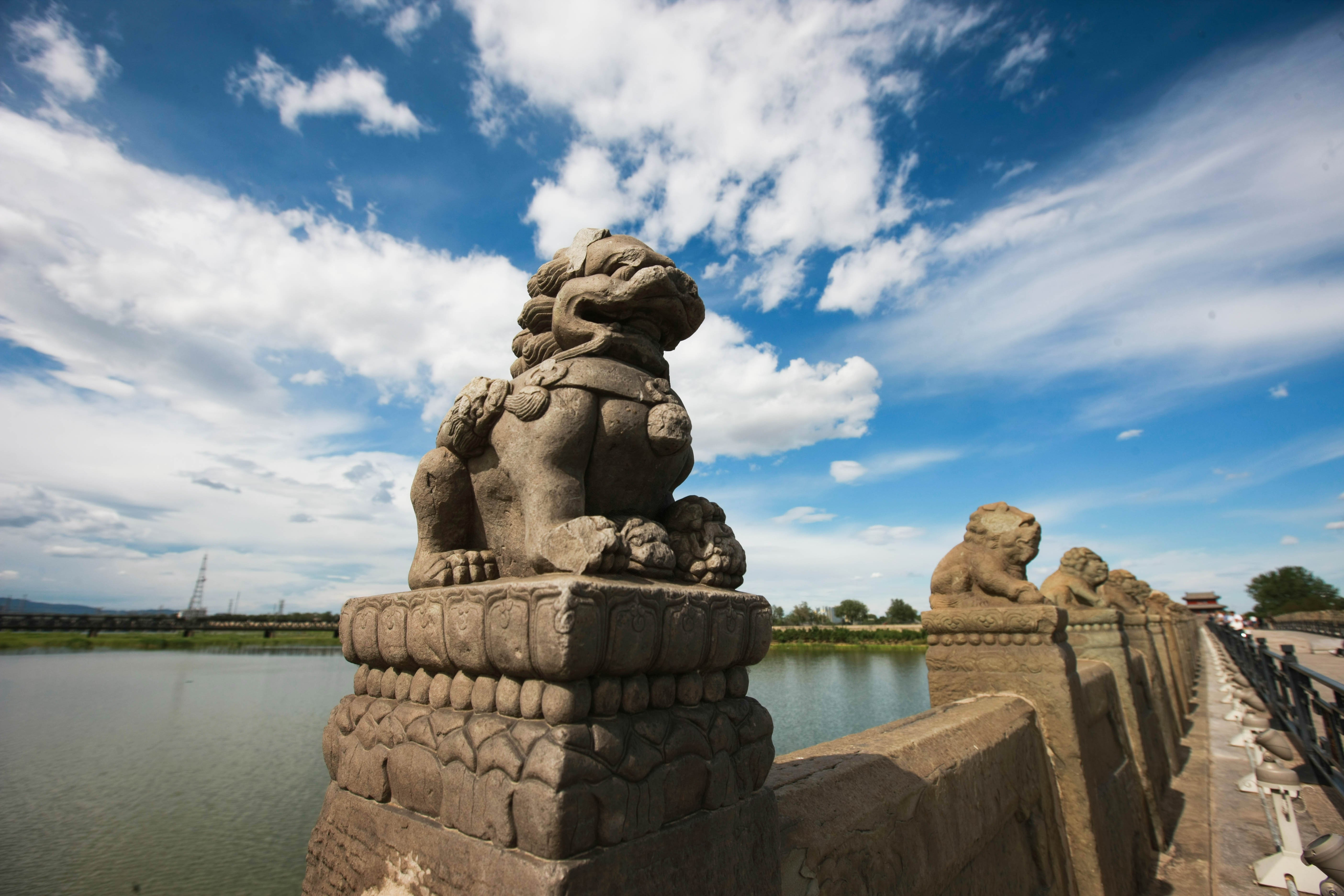 這些照片，來之不易