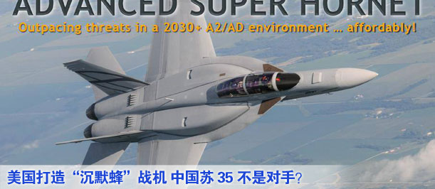 美國打造&ldquo;沉默蜂&rdquo;戰(zhàn)機(jī) 中國蘇35不是對手？