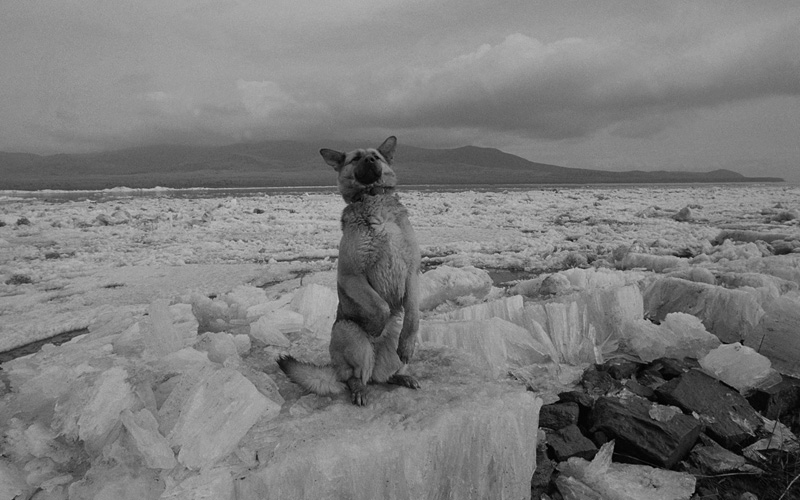 線云強(qiáng)作品:東方第一哨，最早迎接太陽(yáng)的士兵