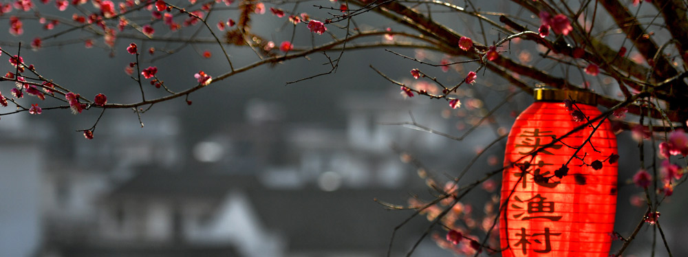 春來花開，綻放正當(dāng)時