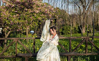 徜徉櫻花花海，來場動漫之旅