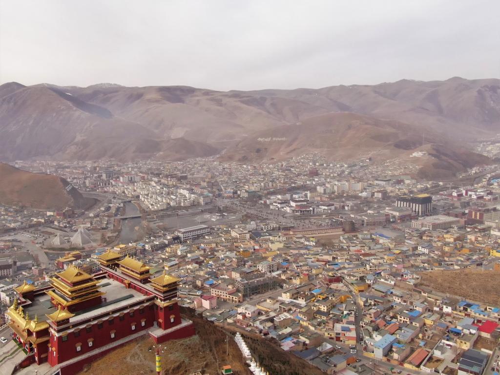 震后11年，玉樹正芳華