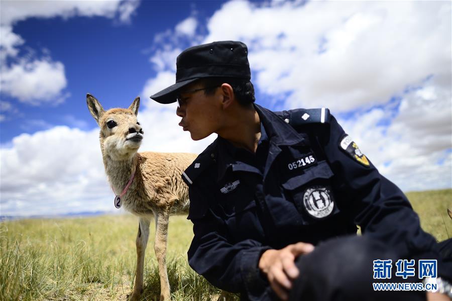 （十九大&middot;讀報告 話民生）（8）加快生態(tài)文明體制改革，建設美麗中國