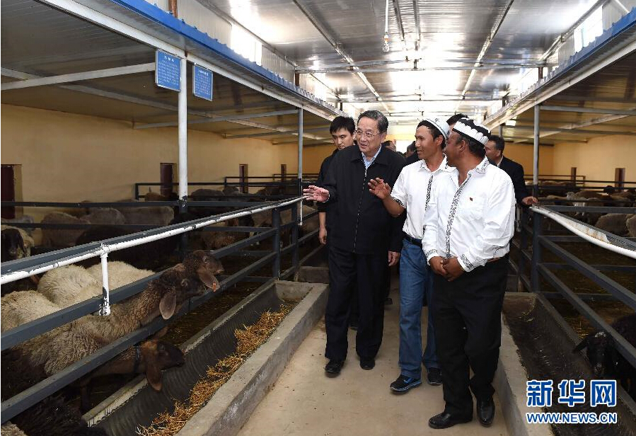 9月27日，中共中央政治局常委、全國政協(xié)主席、中央代表團(tuán)團(tuán)長俞正聲率中央代表團(tuán)部分成員赴喀什地區(qū)莎車縣看望各族干部群眾。這是俞正聲在新疆生產(chǎn)建設(shè)兵團(tuán)第三師莎車農(nóng)場實(shí)地察看萬只羊養(yǎng)殖基地。新華社記者 饒愛民 攝