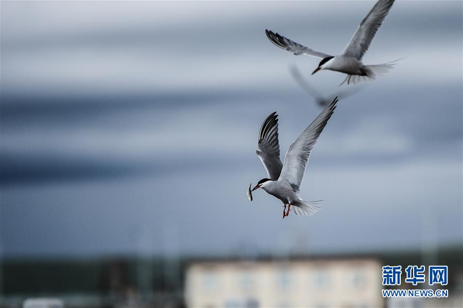 （圖文互動(dòng)）（10）奏響新時(shí)代偉大復(fù)興的壯麗樂(lè)章&mdash;&mdash;寫在&ldquo;中國(guó)夢(mèng)&rdquo;提出五周年之際