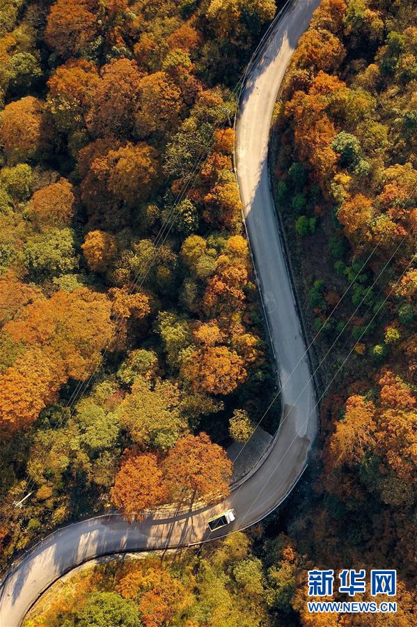 （新華全媒頭條&middot;新時(shí)代新氣象新作為&middot;圖文互動(dòng)）（9）抬腳踏上水泥路，出門(mén)坐上公交車(chē)&mdash;&mdash;我國(guó)竭力破除農(nóng)村交通&ldquo;最后一公里&rdquo;瓶頸