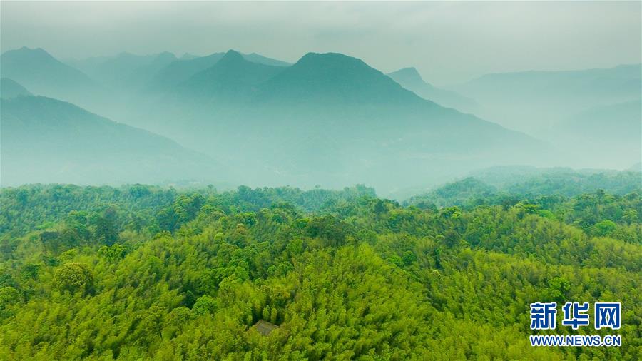 （新華全媒頭條&middot;圖文互動）（9）赤水：別了，貧困！