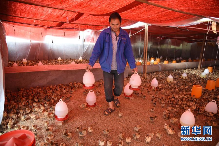 （新華全媒頭條&middot;圖文互動）（8）赤水：別了，貧困！