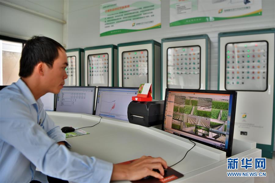 （社會）（3）科技助力海南現(xiàn)代農業(yè)發(fā)展 