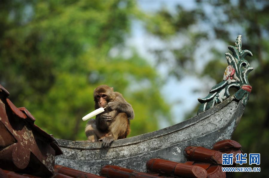 （鏡觀中國(guó)&middot;新華網(wǎng)）（5）新華社國(guó)內(nèi)照片一周精選