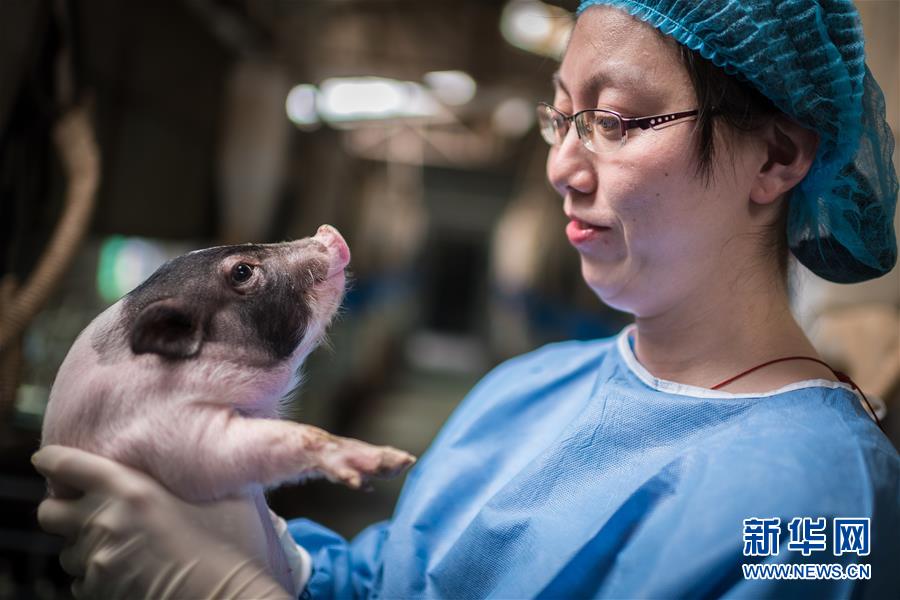 （鏡觀中國(guó)&middot;新華網(wǎng)）（13）新華社國(guó)內(nèi)照片一周精選