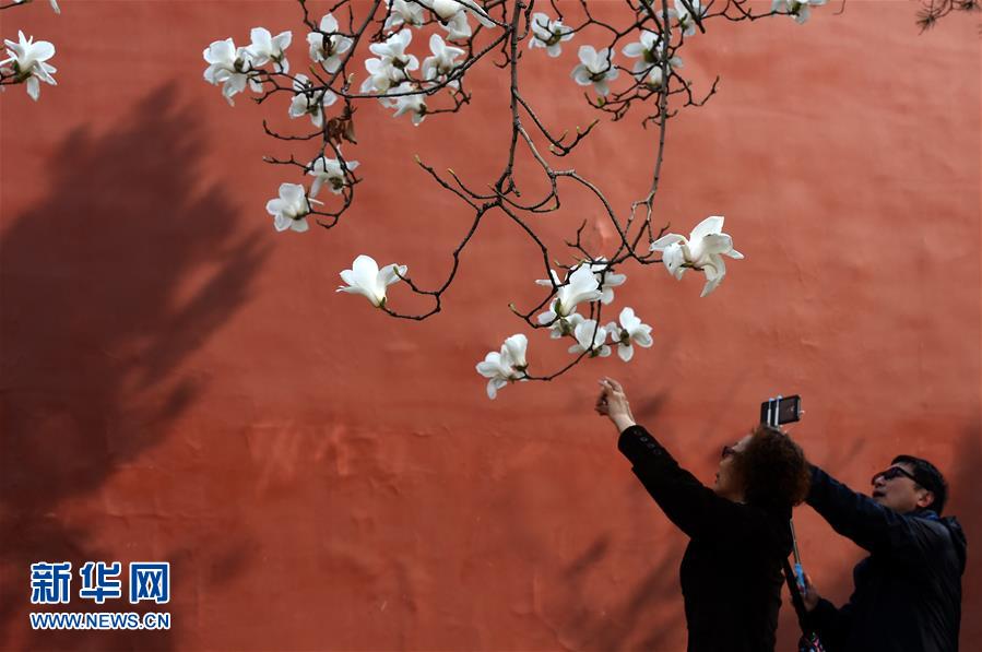 (在習(xí)近平新時代中國特色社會主義思想指引下——新時代新氣象新作為·新華全媒頭條·圖文互動)(1)最濃是這中國紅——北京市西城區(qū)弘揚紅墻意識深化改革發(fā)展紀實