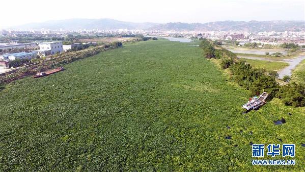 （圖文互動）（1）&ldquo;白練&rdquo;變&ldquo;黑龍&rdquo;，江河變&ldquo;草原&rdquo;－－粵東母親河為何污染20多年難治理？