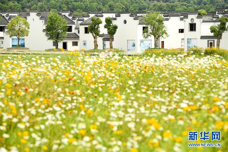 （新華全媒頭條&middot;搶救古民居&middot;圖文互動）（2）當(dāng)古民居遇上城鎮(zhèn)化，如何留住鄉(xiāng)愁？