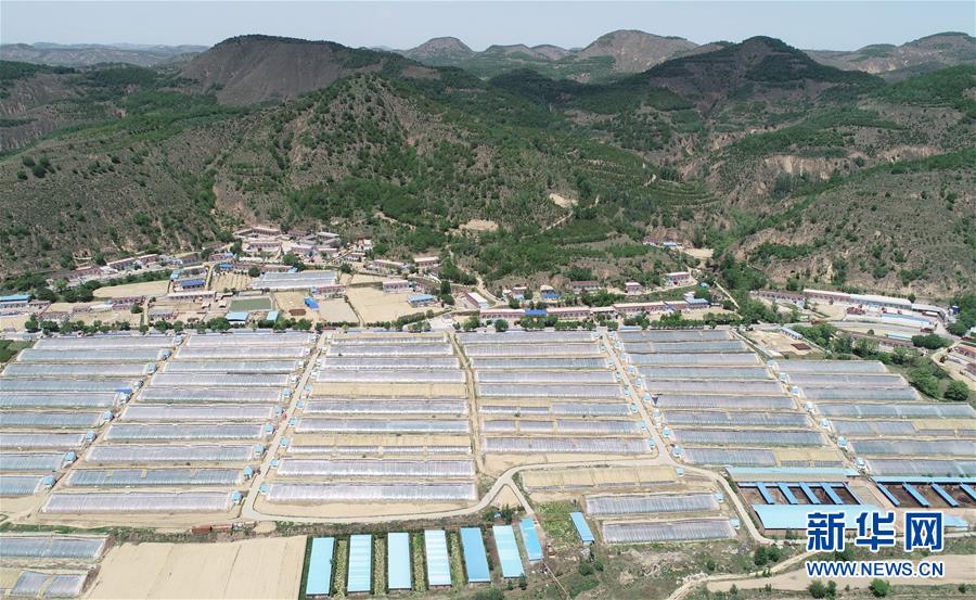 （壯闊東方潮 奮進(jìn)新時代&mdash;&mdash;慶祝改革開放40年）（7）退耕還林20年 延安大地譜新篇