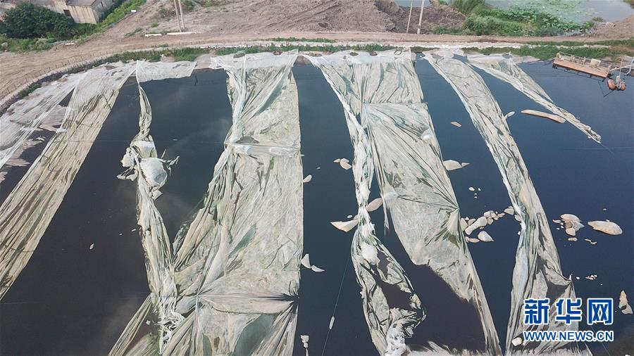 （新華視點&middot;圖文互動）（4）中央督察兩年有的絲毫未改，有的不減反增&mdash;&mdash;江蘇泰興數(shù)萬噸化工廢料和污泥堆放長江邊調(diào)查