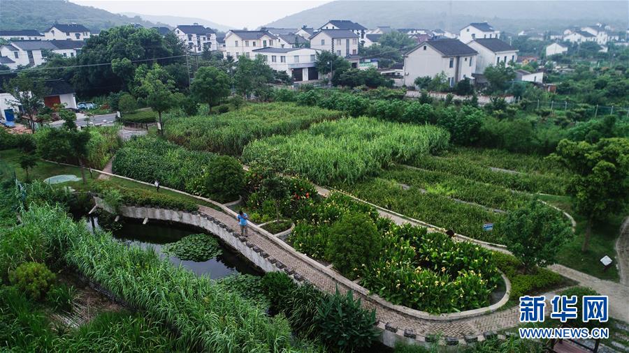 （在習近平新時代中國特色社會主義思想指引下&mdash;&mdash;新時代新作為新篇章&middot;圖文互動）（1）稀奇！治污濕地成了休閑公園&mdash;&mdash;江蘇蘇州全域推進農(nóng)村生活污水治理