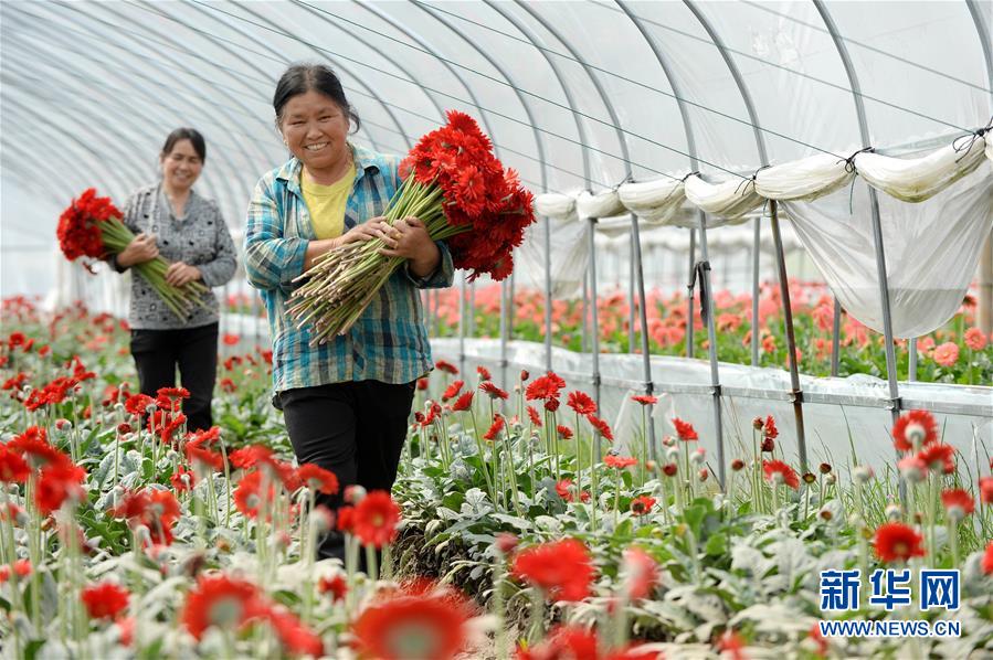 （大江奔流&mdash;&mdash;來自長江經(jīng)濟帶的報道&middot;新華全媒頭條&middot;圖文互動）（3）擘畫新時代中國發(fā)展新坐標(biāo)&mdash;&mdash;深入推動長江經(jīng)濟帶發(fā)展述評  