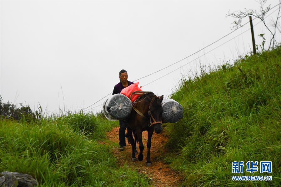 （新華全媒頭條&middot;圖文互動(dòng)）（4）一個(gè)人，一座山&mdash;&mdash;劉真茂的生命守望