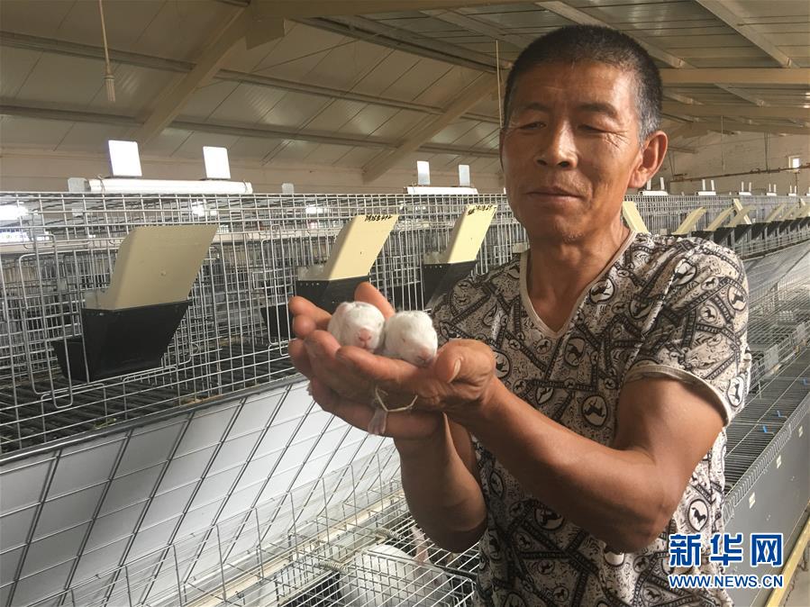 （新華全媒頭條&middot;在習(xí)近平新時代中國特色社會主義思想指引下&mdash;&mdash;新時代新作為新篇章&middot;圖文互動）（10）綠富同興畫卷在沙海中鋪展&mdash;&mdash;庫布其沙漠生態(tài)治理紀(jì)實