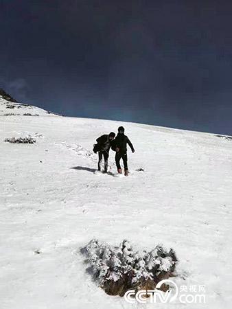 下雪天巡護(hù)也是常有的事。