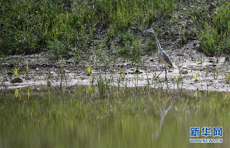 （新華全媒頭條&middot;圖文互動(dòng)）（10）中國(guó)扶貧的西海固答卷&mdash;&mdash;寧夏奮進(jìn)60年巡禮之脫貧攻堅(jiān)篇