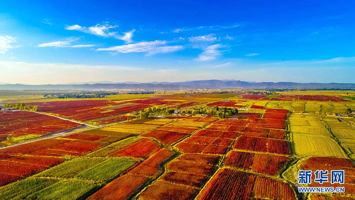 秋收的中國(guó)，你想象不到的美！但更美的是&hellip;&hellip;