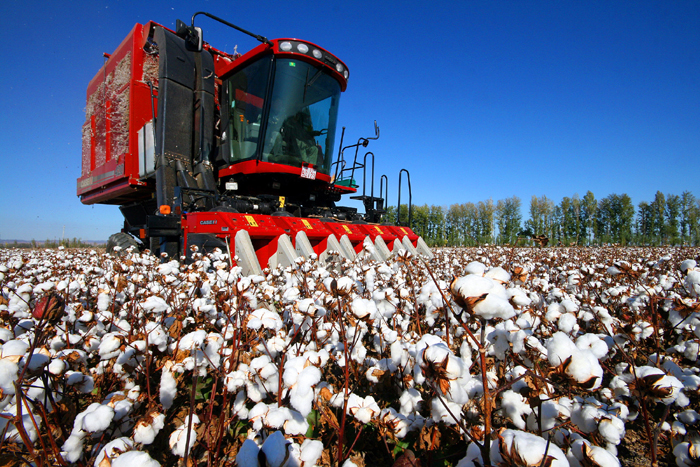 秋收的中國(guó)，你想象不到的美！但更美的是&hellip;&hellip;