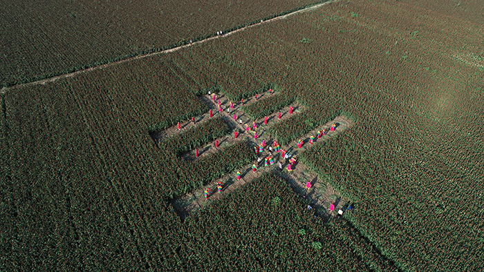 秋收的中國(guó)，你想象不到的美！但更美的是&hellip;&hellip;