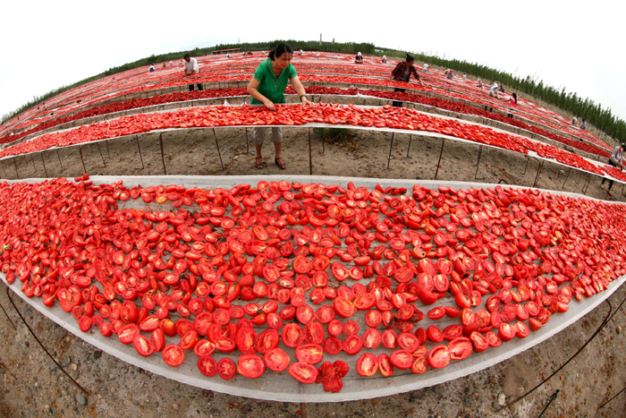 秋收的中國(guó)，你想象不到的美！但更美的是&hellip;&hellip;