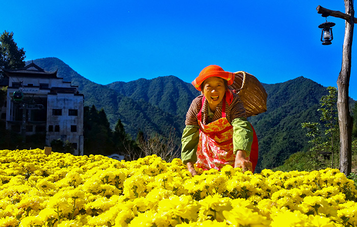 秋收的中國(guó)，你想象不到的美！但更美的是&hellip;&hellip;