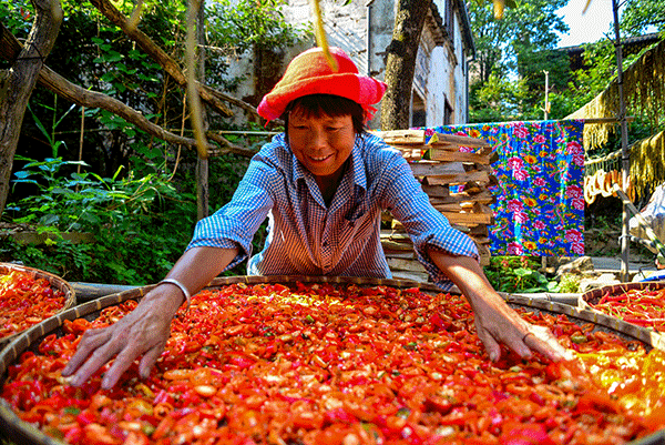 秋收的中國(guó)，你想象不到的美！但更美的是&hellip;&hellip;