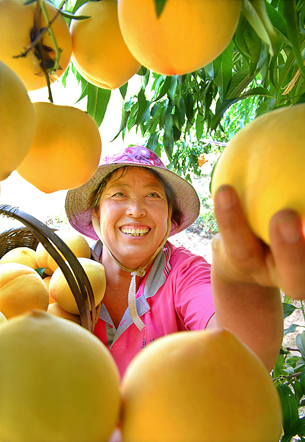 秋收的中國(guó)，你想象不到的美！但更美的是&hellip;&hellip;