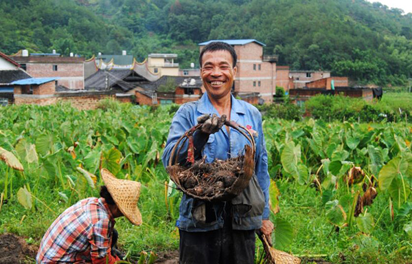 秋收的中國(guó)，你想象不到的美！但更美的是&hellip;&hellip;