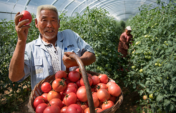 秋收的中國(guó)，你想象不到的美！但更美的是&hellip;&hellip;